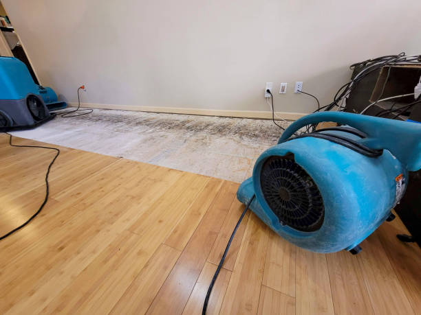 Professional Flood Damage Cleanup technician working in Whately, MA